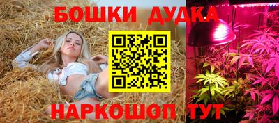 сатива Партизанск