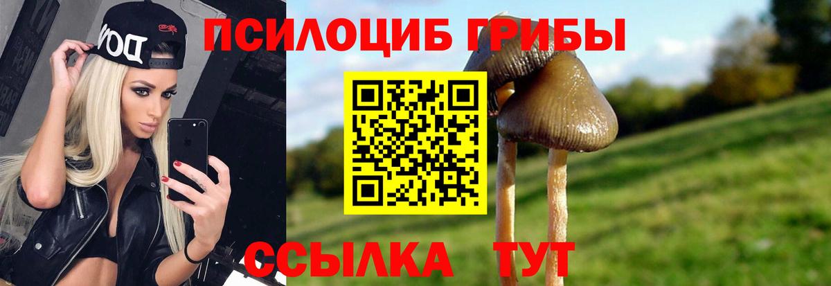 Псилоцибиновые грибы мицелий  Псилоцибиновые грибы Cubensis  Тверь  Вход с VPN 